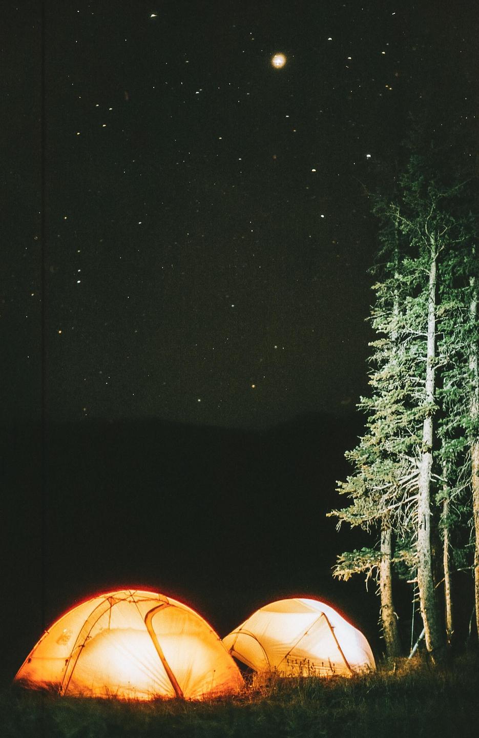 Two illuminated tents sit on a grassy hill next to tall pine trees under a starry night sky.