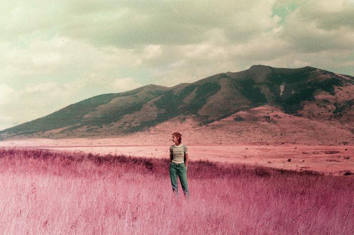 A woman stands in a field of purple grass with mountains in the background under a cloudy sky.