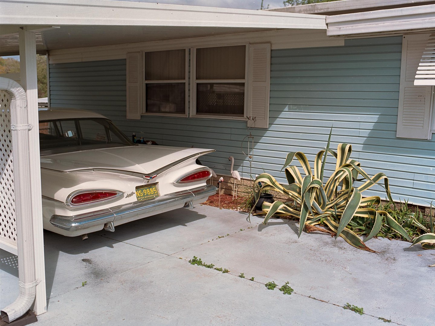 A white car with prominent tail fins is parked under a carport next to a house with blue siding and a large agave plant.
