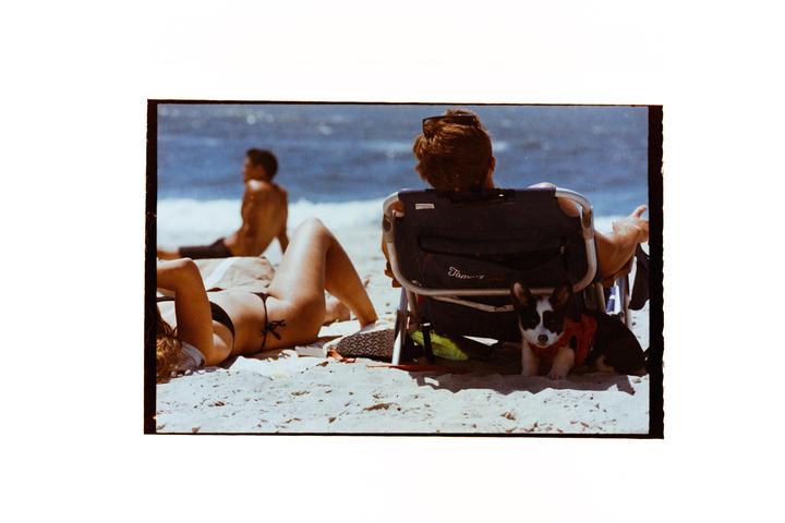 A woman in a bikini lies on the sand next to a man in a beach chair with a puppy at his feet, with the ocean in the background.