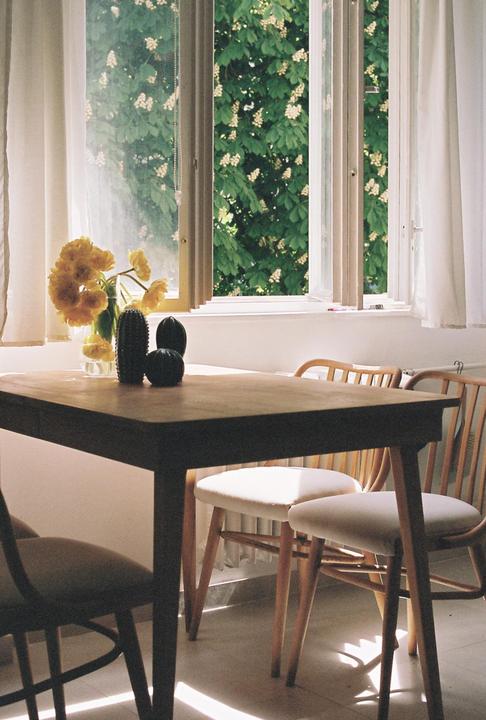 A wooden table with a vase of yellow flowers and two decorative cacti sits in a sunlit room with chairs and a window looking out onto green foliage.