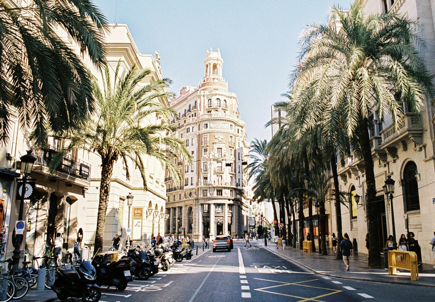 A street in Valencia is lined with palm trees and historic buildings, with people and vehicles moving along the road.