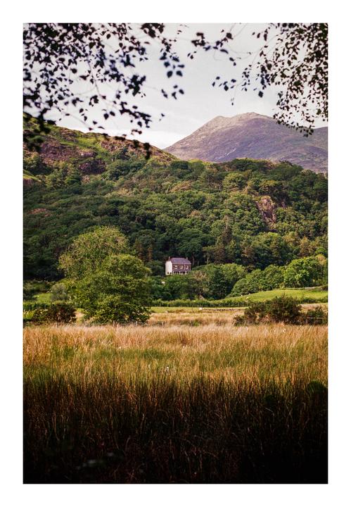 A house is nestled among trees on a hillside with a mountain in the background and tall grass in the foreground.