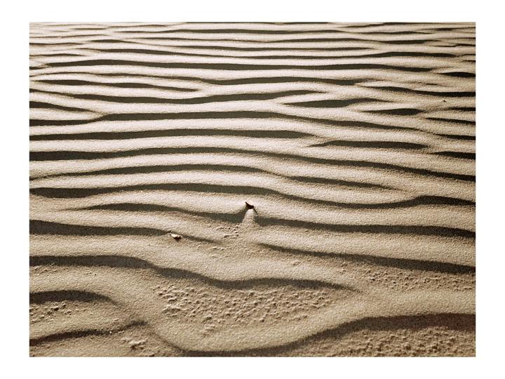 The image shows sand dunes with ripples and shadows.