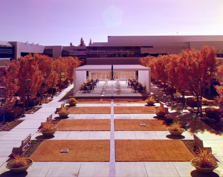 A courtyard with a covered seating area is surrounded by trees with red foliage and modern buildings.