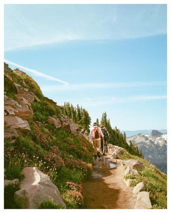 Three hikers walk along a narrow dirt path on a mountain slope covered in wildflowers and trees under a clear sky.