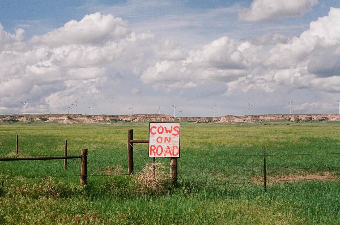 A "Cows on Road" sign is visible in a green field with wind turbines and hills in the distance under a cloudy sky.