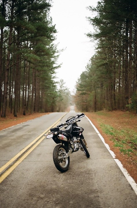 A motorcycle is parked on the side of a road lined with tall pine trees.