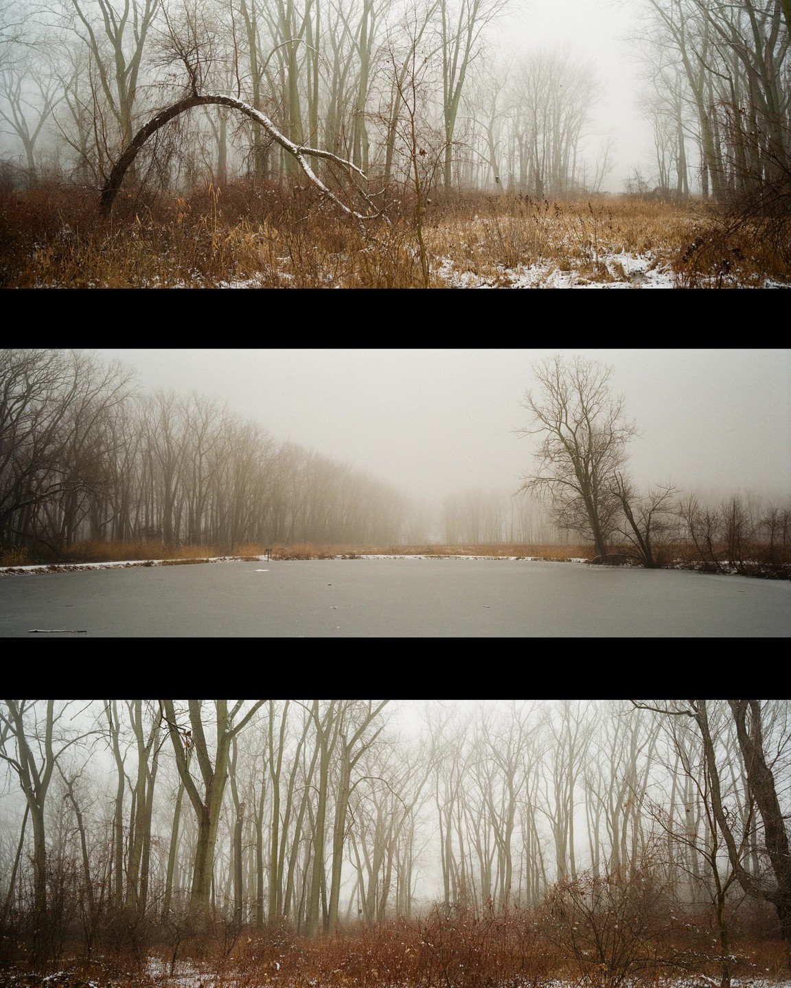 Three horizontal panels show a foggy winter forest with a frozen pond and snow on the ground.