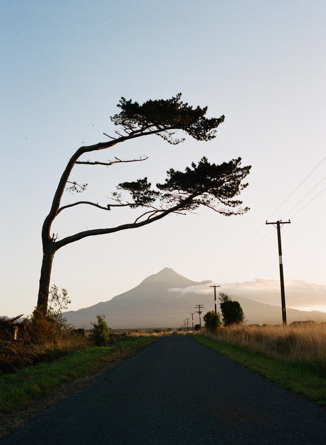 A winding road leads towards a mountain with a large tree silhouetted against the sky in the foreground.