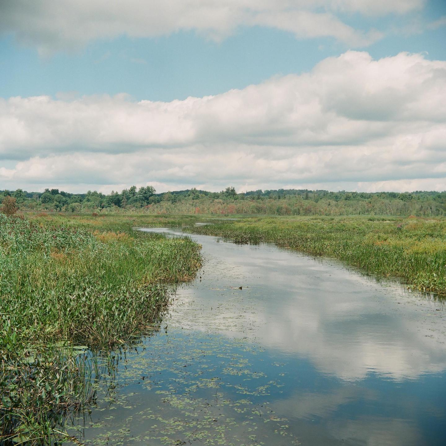 A winding river flows through a marshy landscape under a cloudy sky.