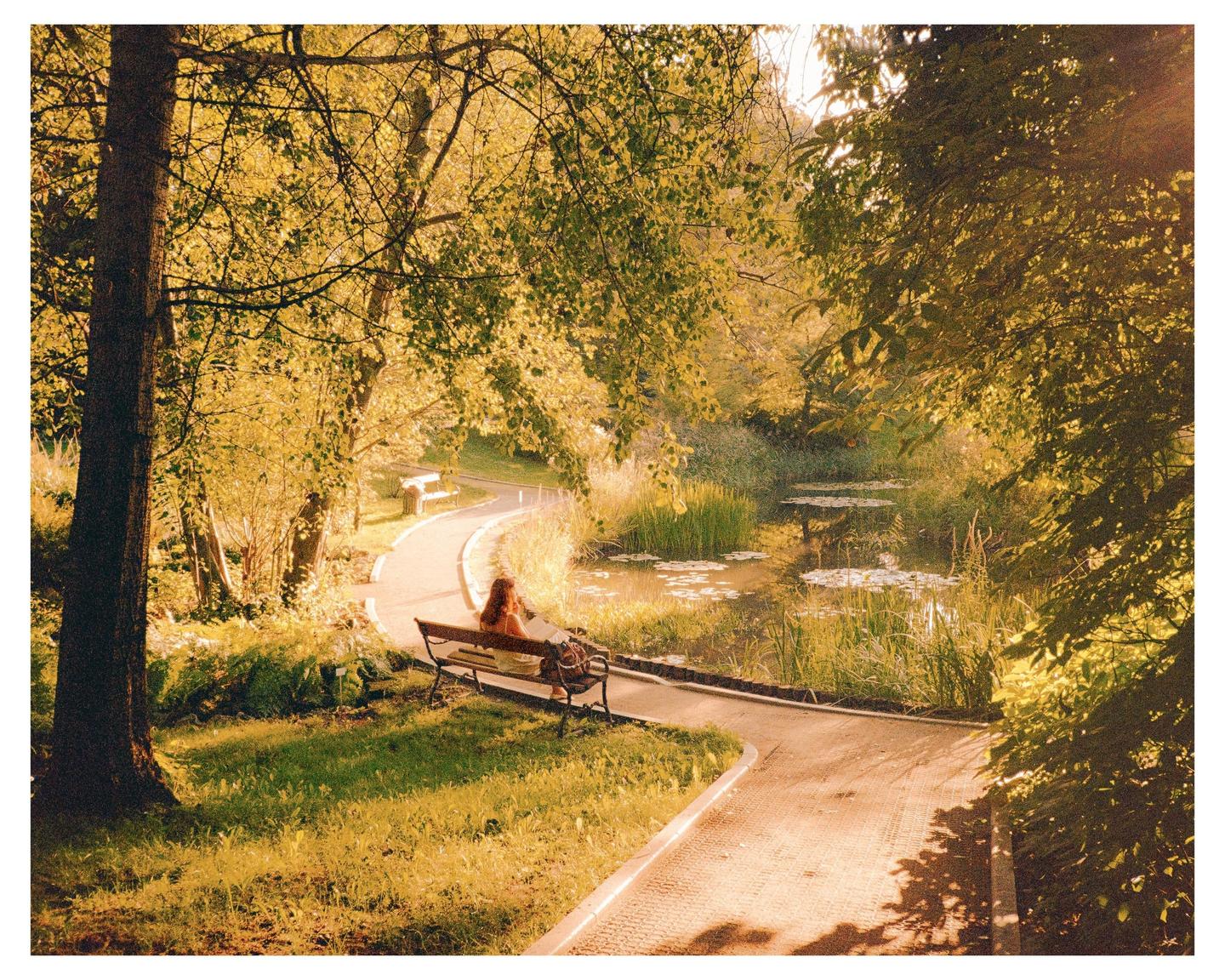 A woman sits on a bench next to a winding path and a pond surrounded by trees with autumn foliage.