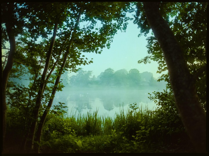 Trees and tall grass frame a misty lake with a small house visible on the far bank.