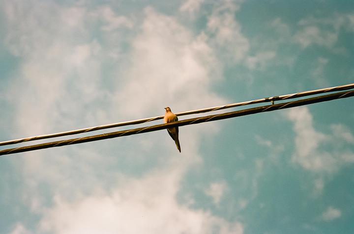 A bird sits on a power line against a cloudy sky.