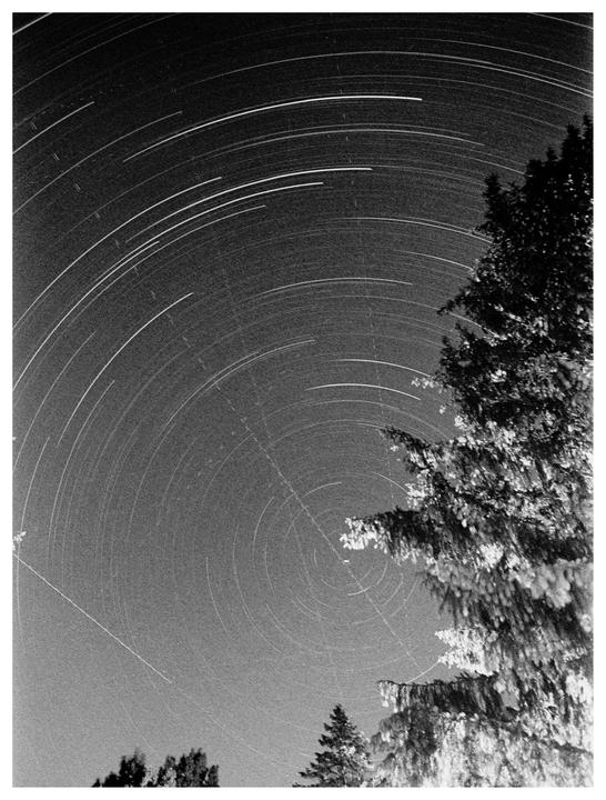 A long exposure photograph captures star trails circling in the night sky above trees.