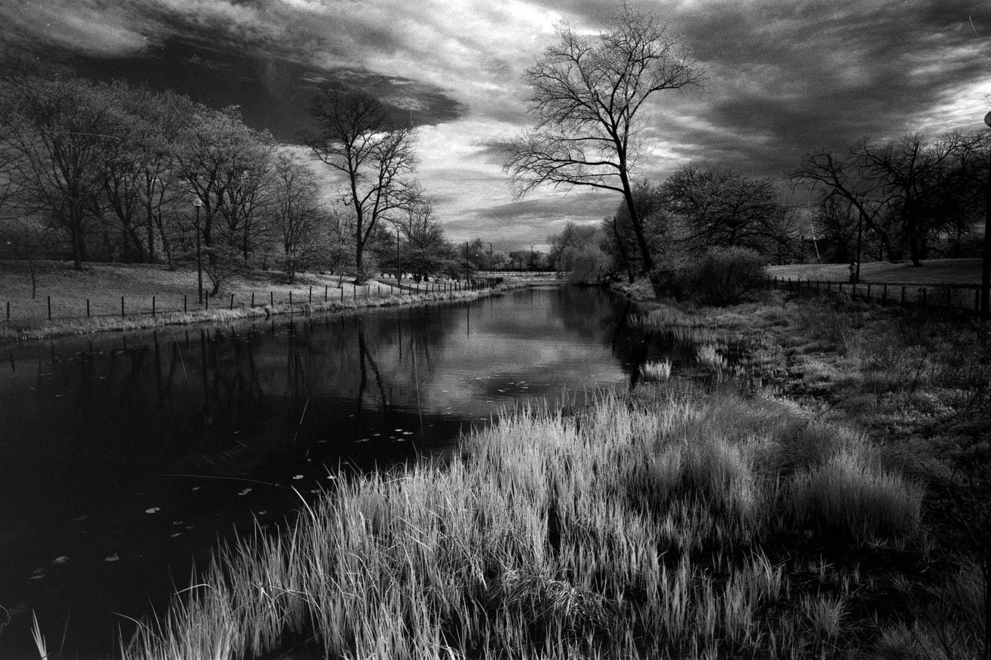A body of water with tall grass in the foreground reflects trees and a cloudy sky.