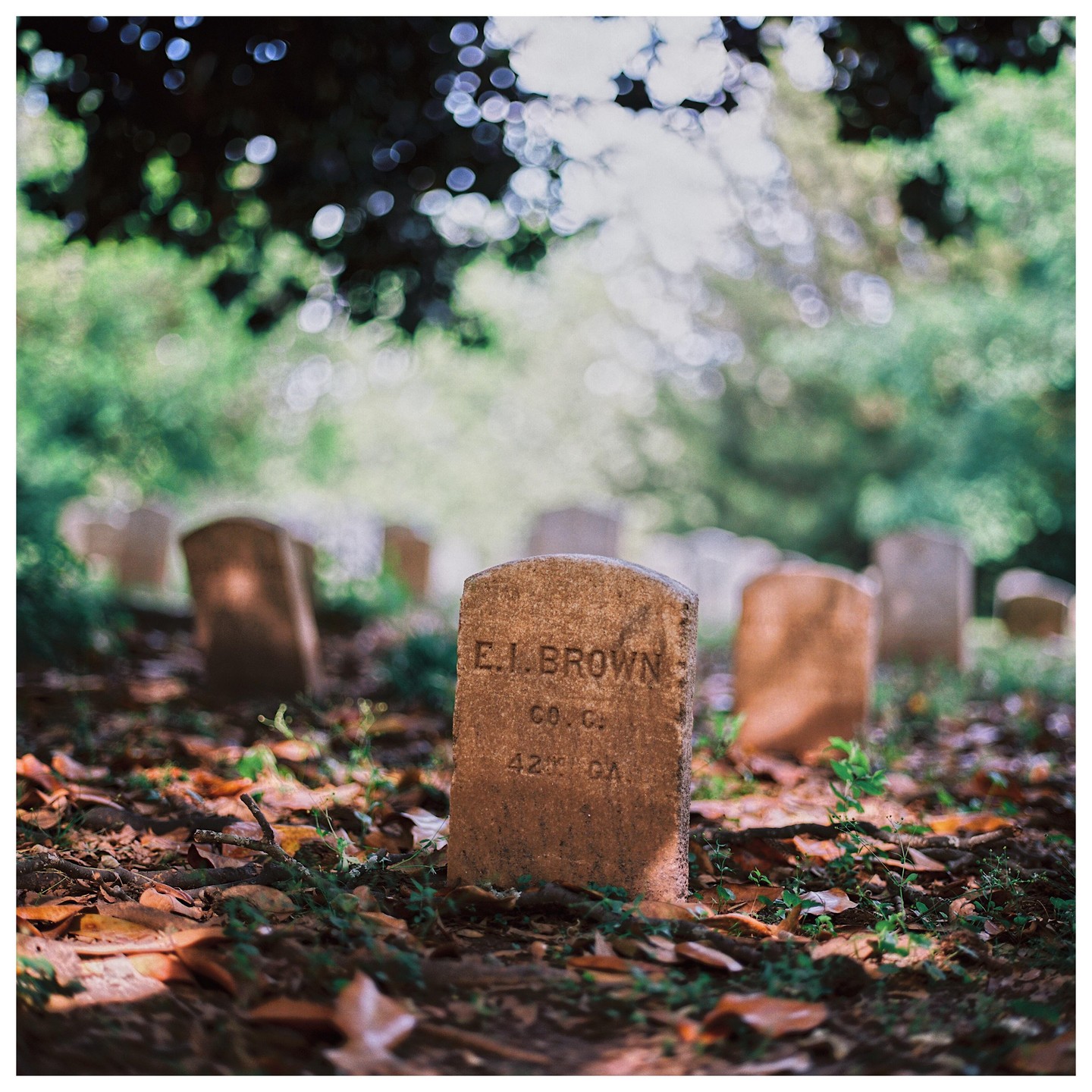 A weathered tombstone with the name E.I. Brown stands in a cemetery surrounded by fallen leaves and green foliage.