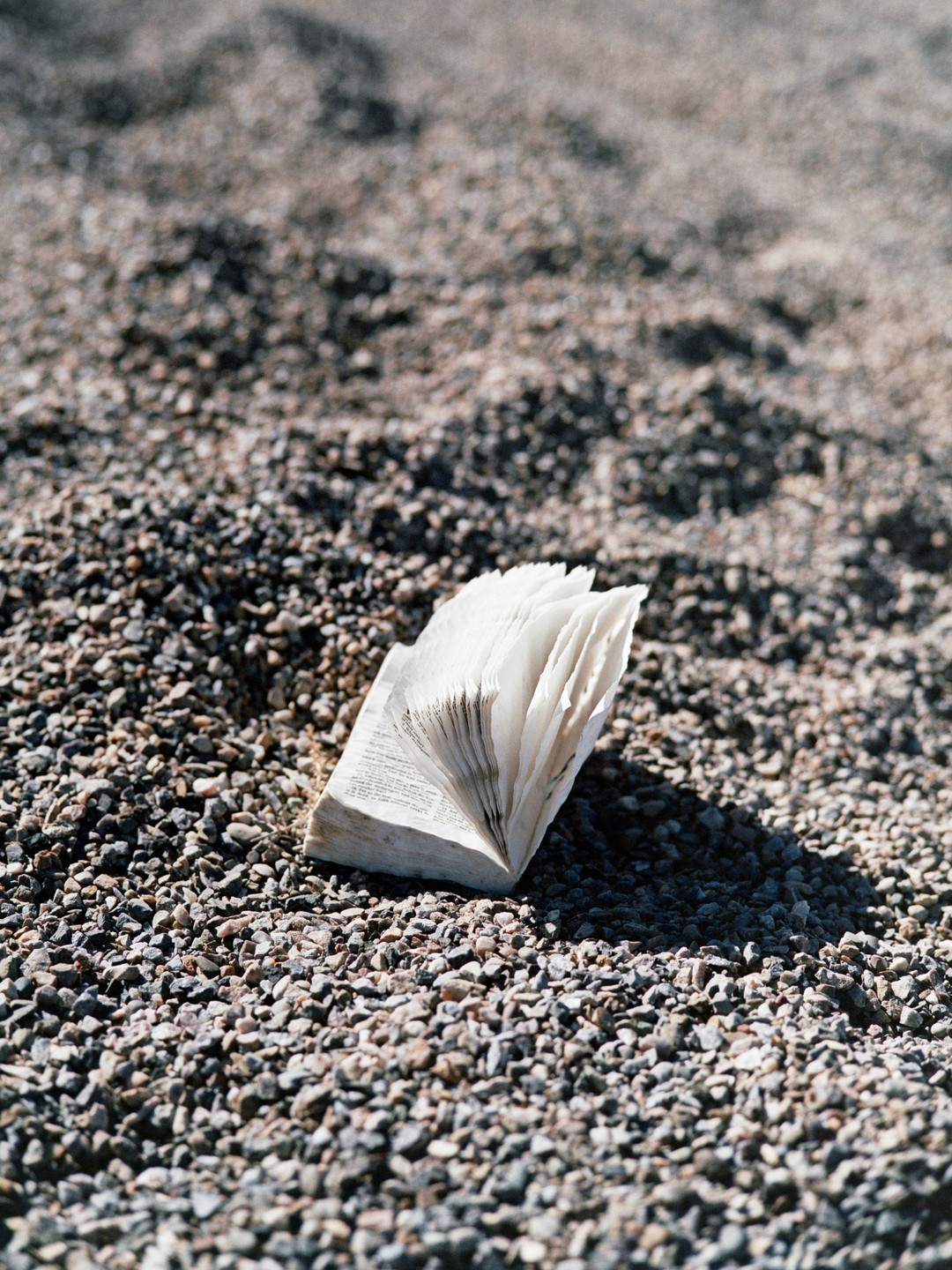 A book with fanned pages rests open on a bed of small rocks.