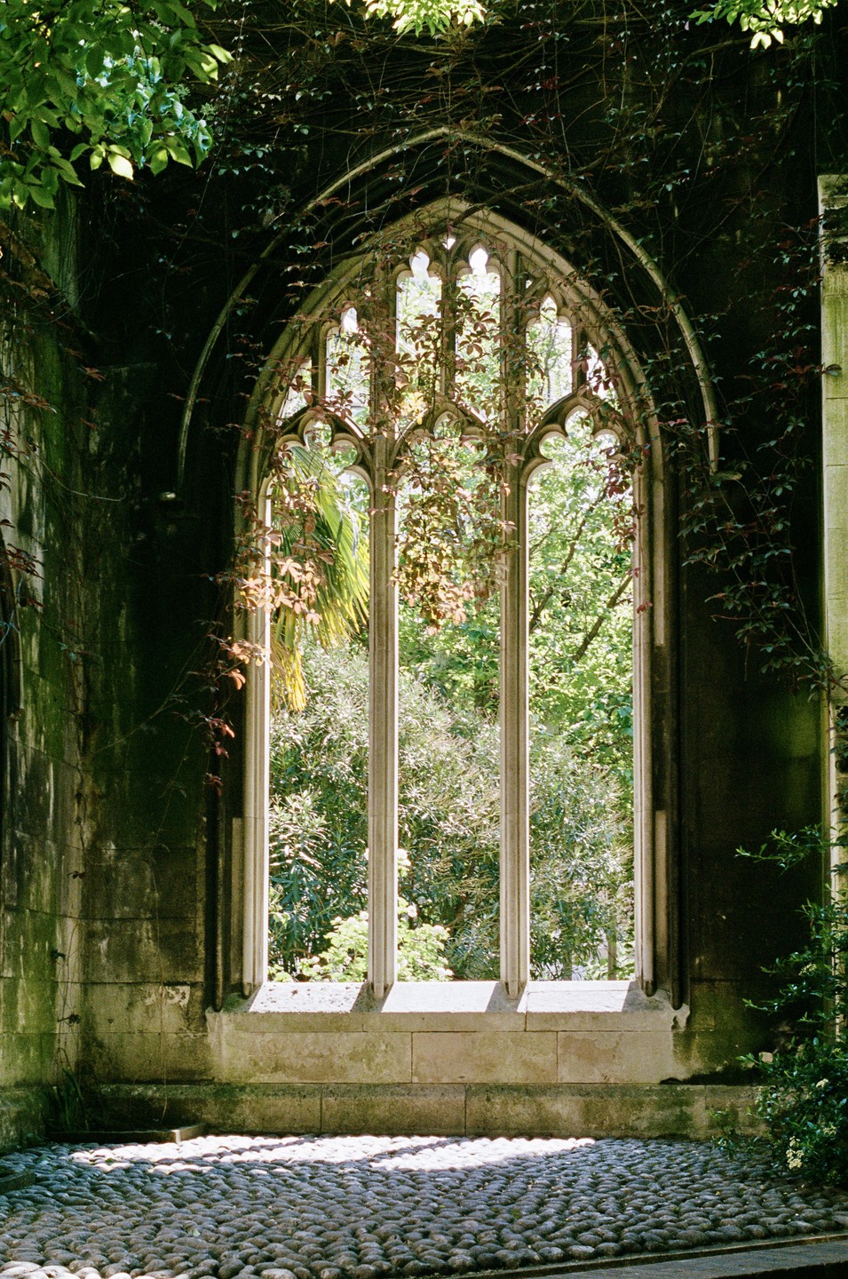 A large gothic window with intricate stone tracery is overgrown with vines and looks out onto a lush green garden.