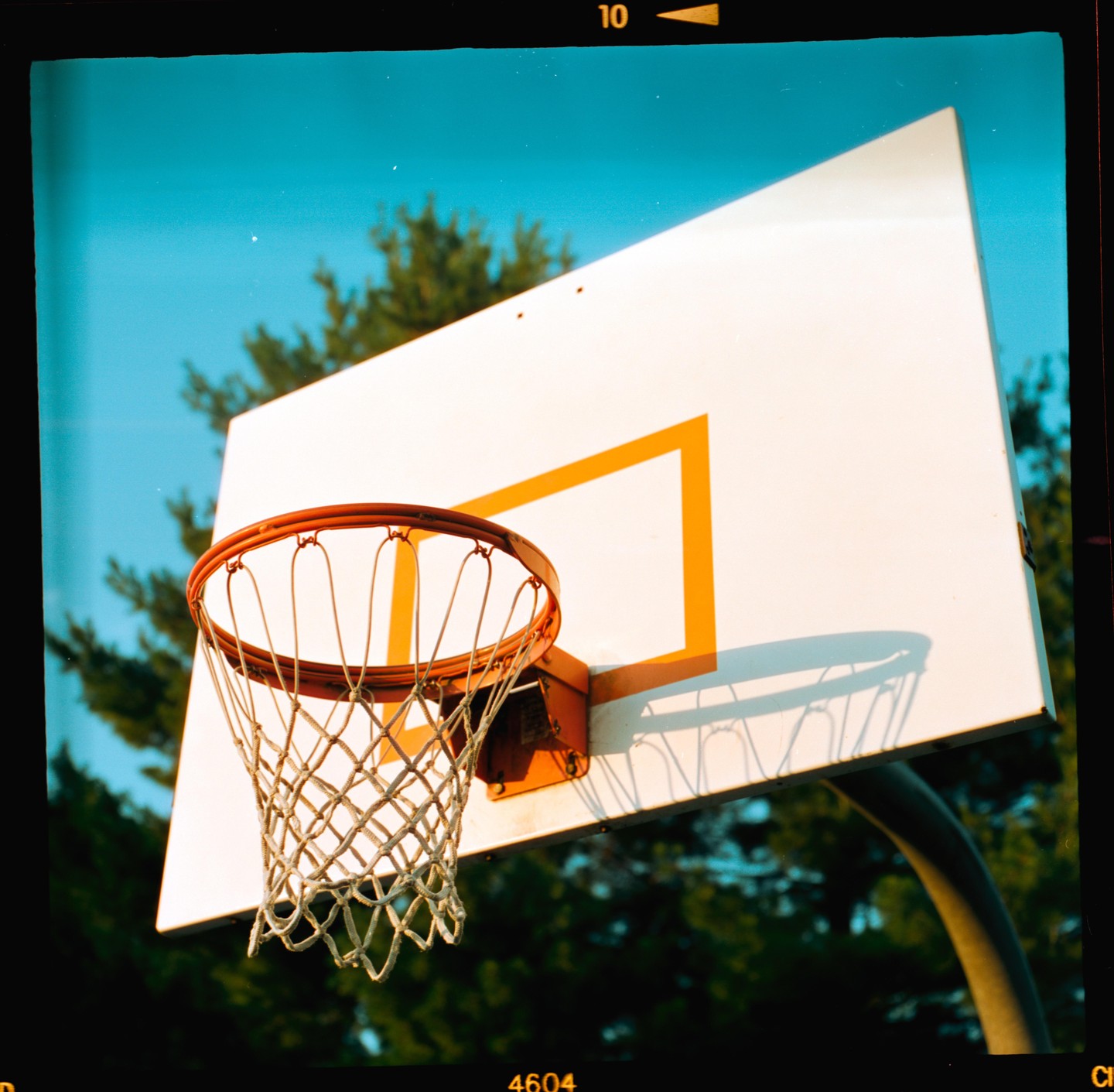 A basketball hoop and backboard are visible against a clear blue sky and green trees.