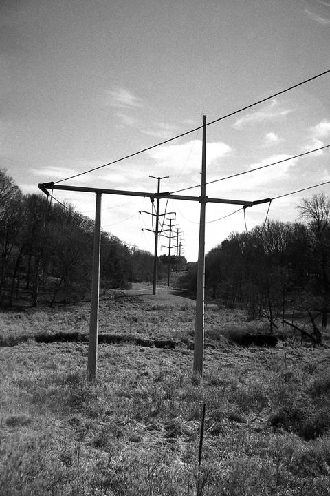 A line of electricity poles and wires stretches into the distance through a grassy field with trees on either side.