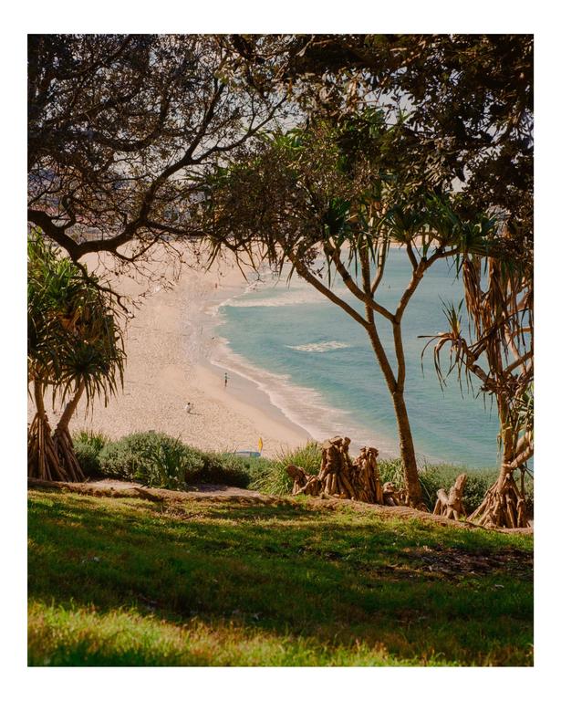 A sandy beach with turquoise water is visible through a frame of trees and green grass.