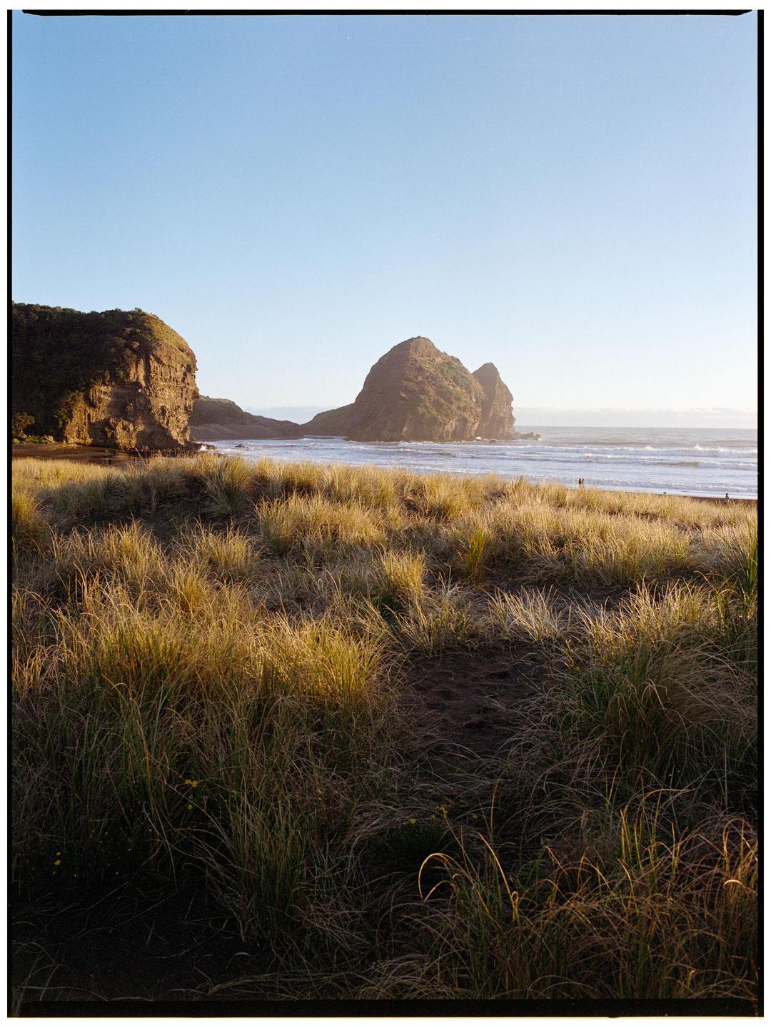 A beach with tall grass in the foreground and large rock formations in the distance under a clear sky.