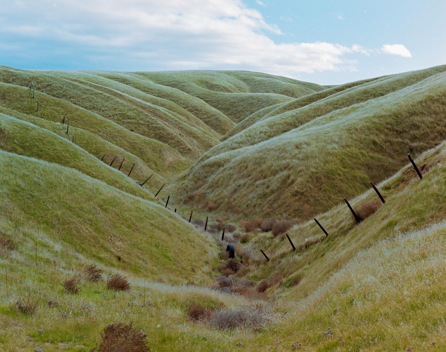 Rolling green hills with a fence line running through a valley under a cloudy sky.