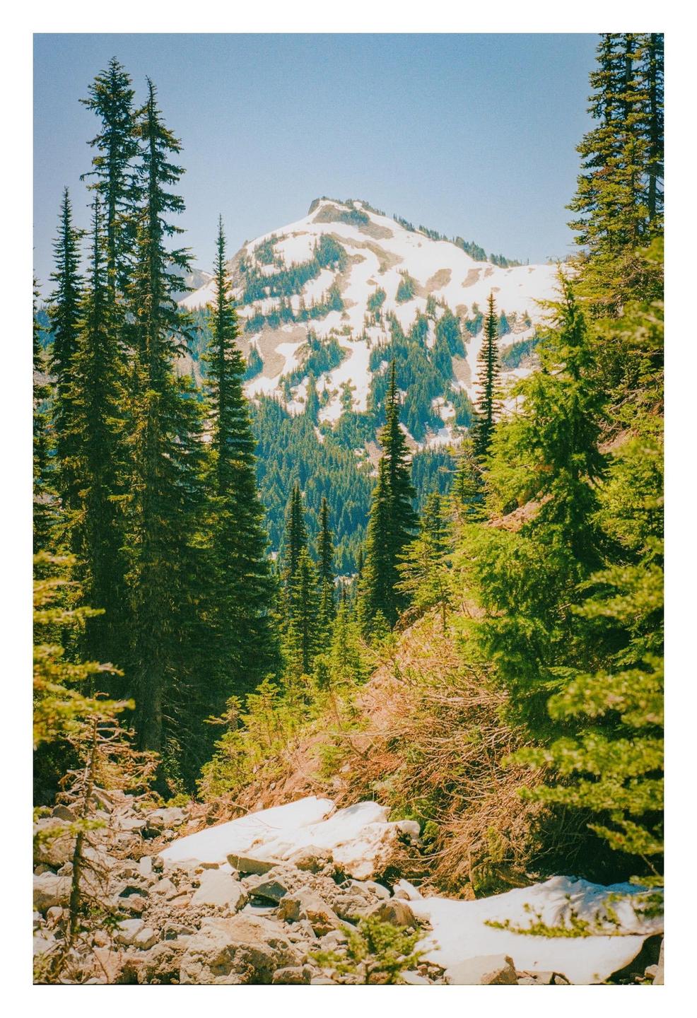 A snow-capped mountain peak rises above a forest of pine trees and a rocky, snow-dusted foreground.