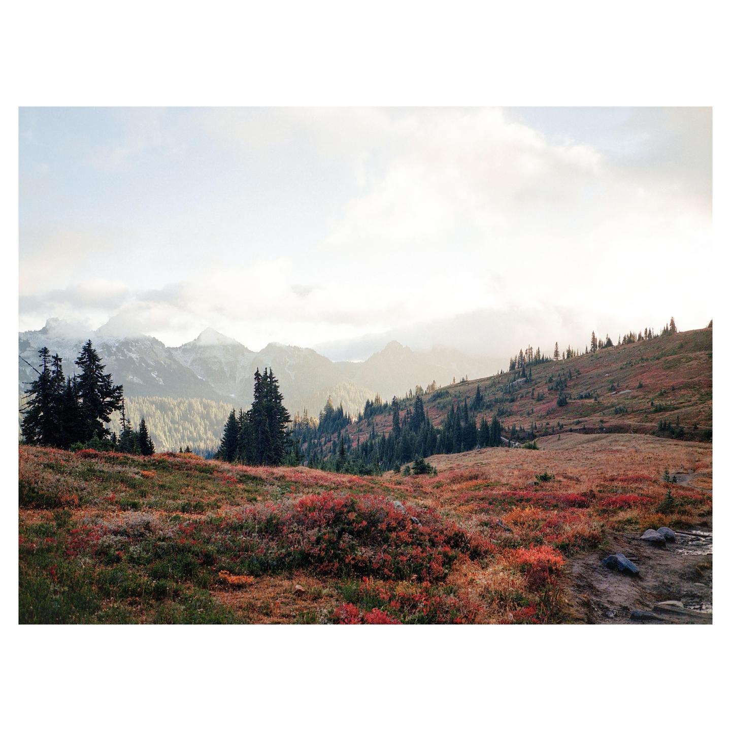 A vast landscape shows a valley with evergreen trees and red and orange foliage, with mountains in the background under a cloudy sky.