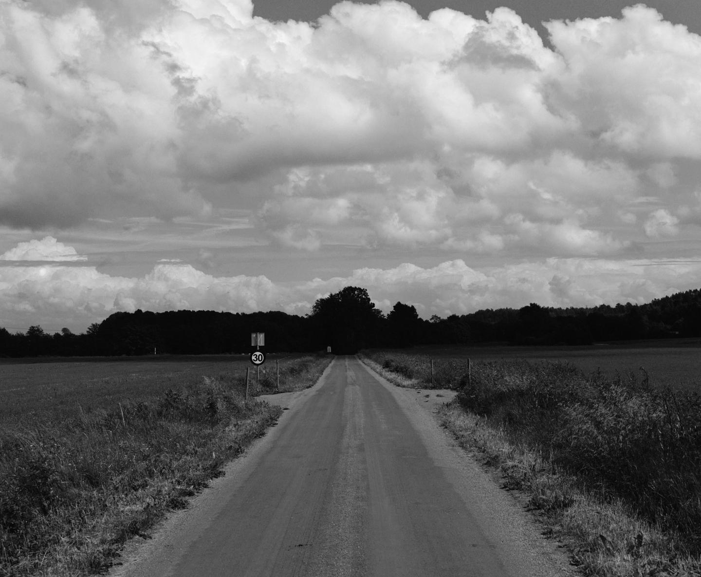 A long, straight road leads through fields towards a distant tree line under a cloudy sky.