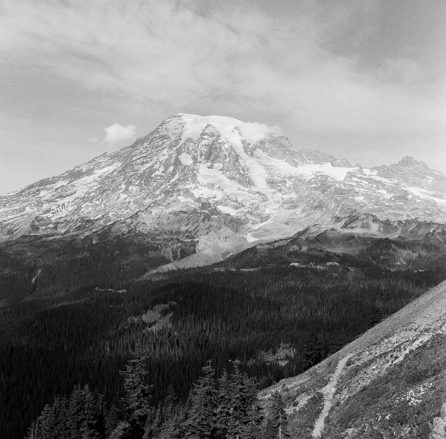 A snow-capped mountain rises above a forest with a winding path on a hillside in the foreground.