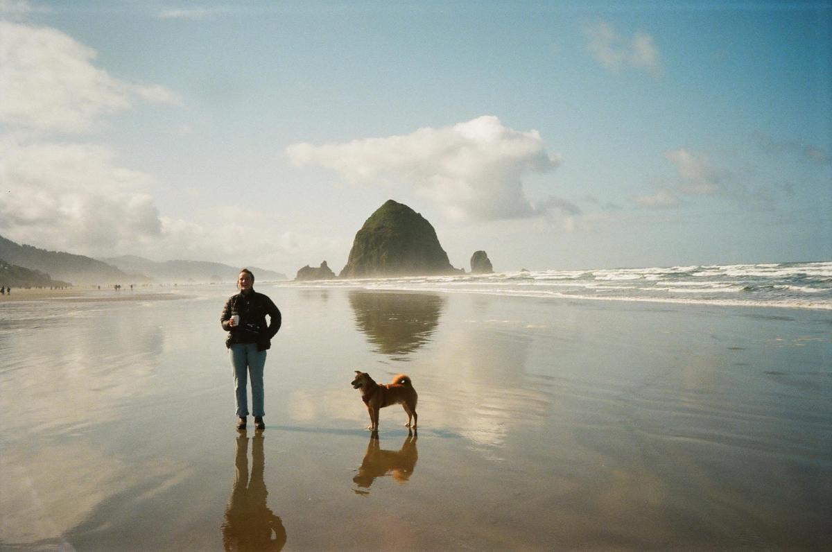 A girl and a dog stand on a wet beach with a large rock formation in the background.