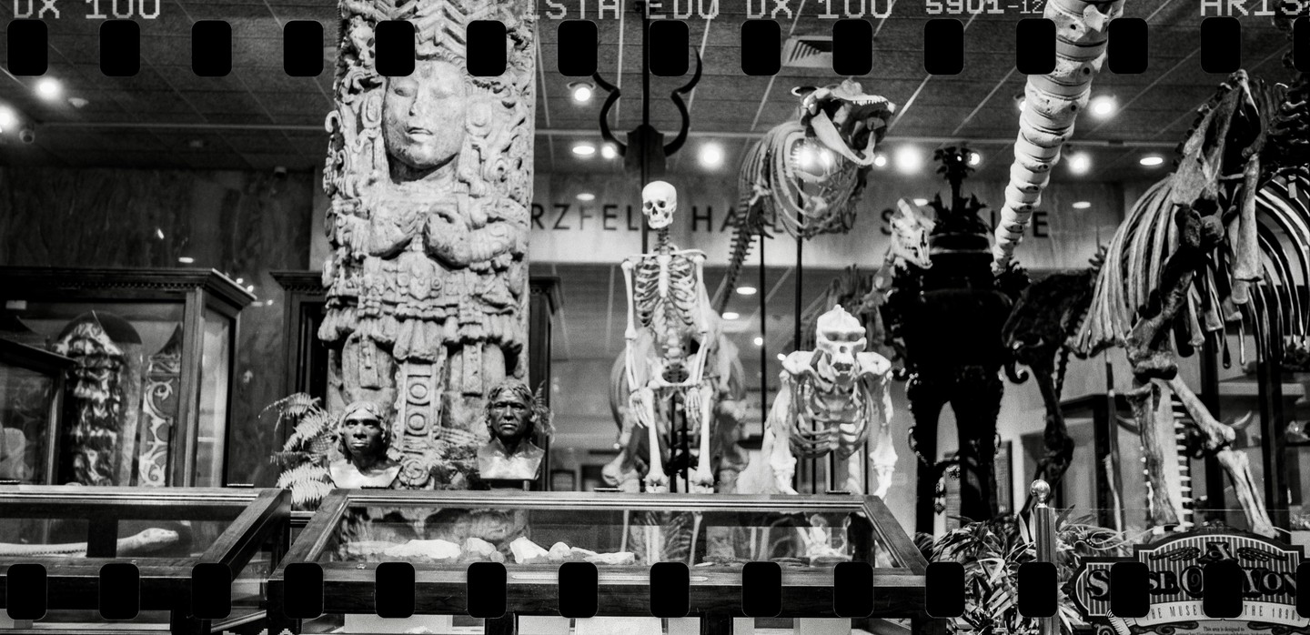 A black and white photo shows a museum exhibit with skeletons, busts, and a large carved pillar.