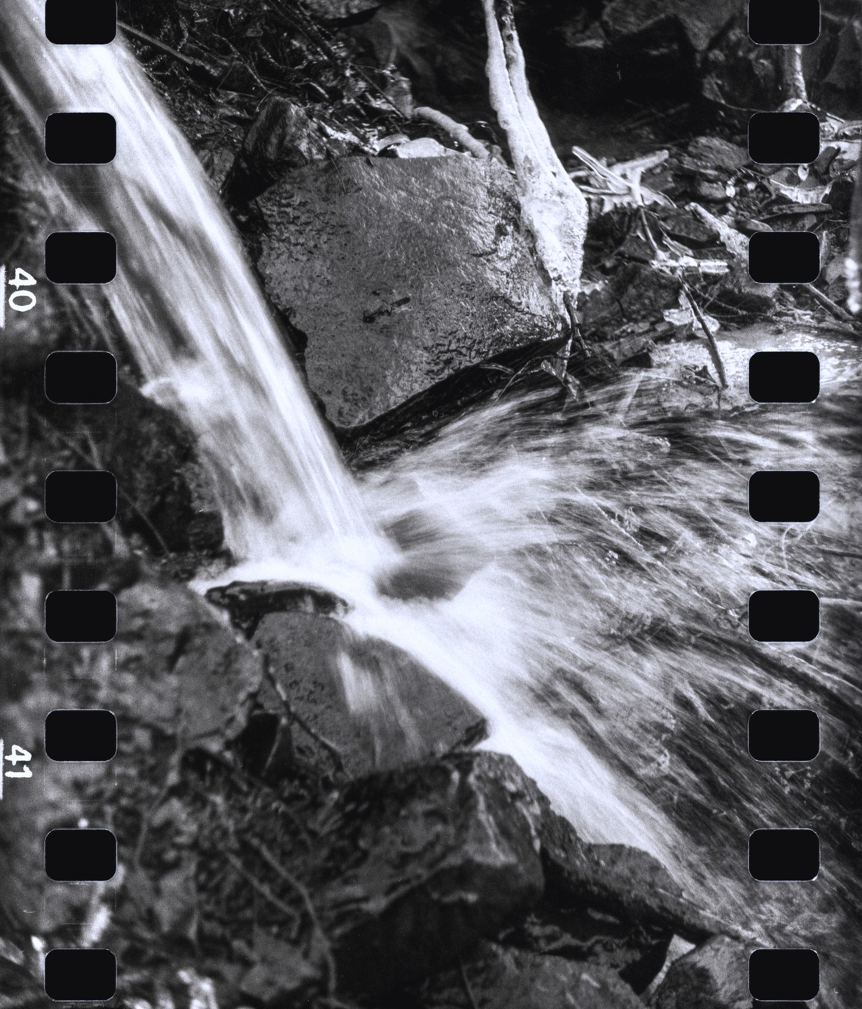 A small waterfall cascades over rocks in a black and white forest scene.