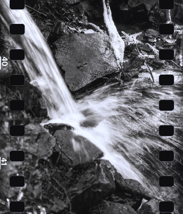 A small waterfall cascades over rocks in a black and white forest scene.