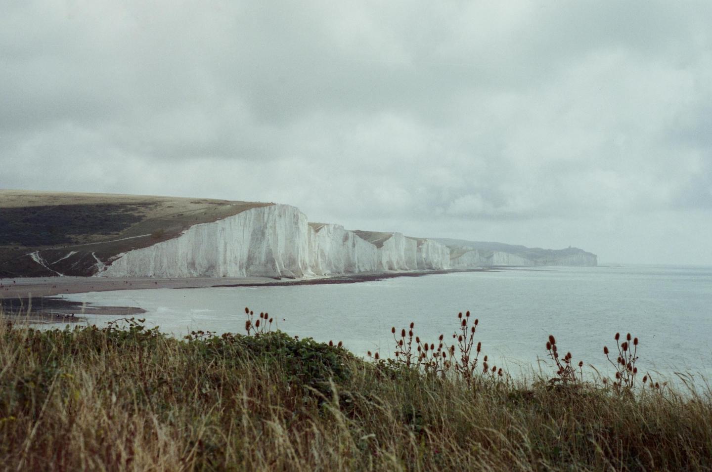 A long line of white cliffs meets the sea under a cloudy sky, with dry grass and plants in the foreground.