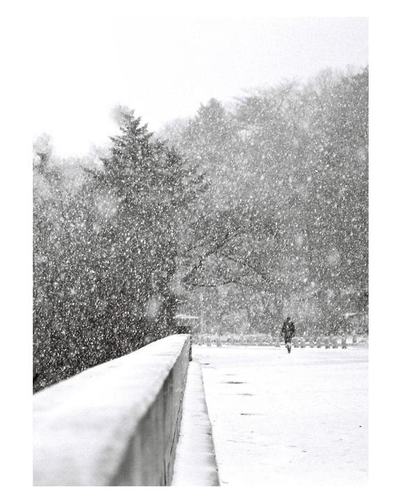 A person walks on a snow-covered path next to a low wall with trees in the background during a snowfall.