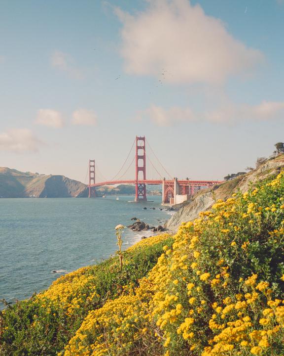 The Golden Gate Bridge spans a body of water with a hillside covered in yellow flowers in the foreground.