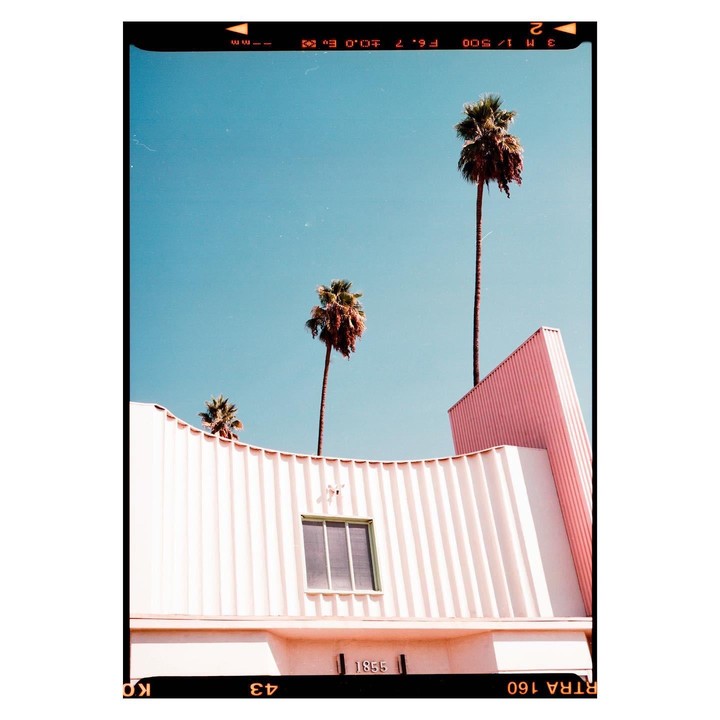 Three palm trees rise above a pink and white building with a single window.