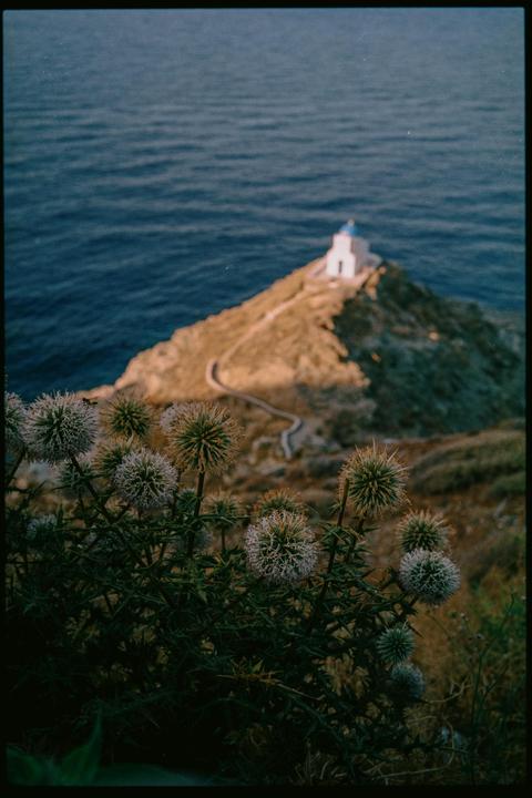 A small white church with a blue dome sits atop a hill overlooking the sea, with spiky plants in the foreground.