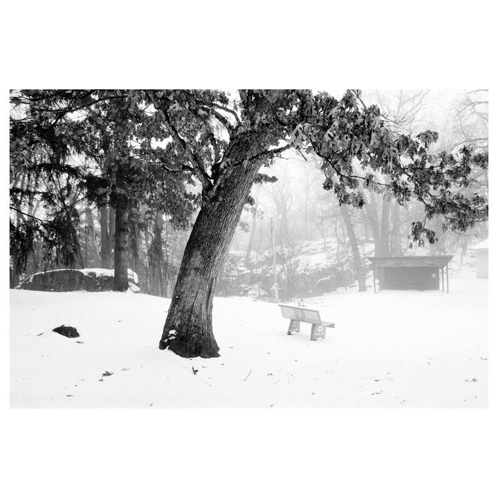 A snow-covered landscape features a large tree, a bench, and a small shelter under a hazy sky.