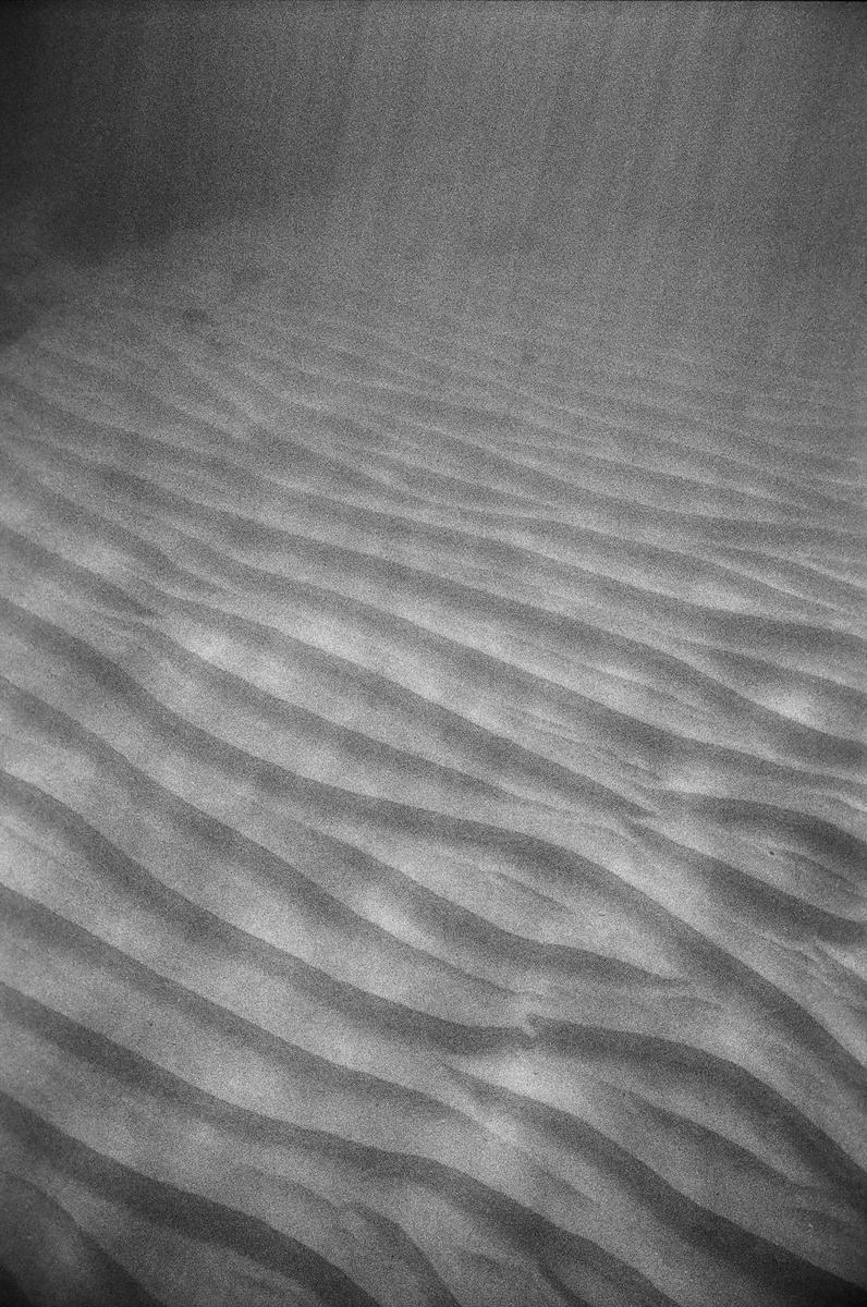 The ocean floor shows sand waves under morning light.
