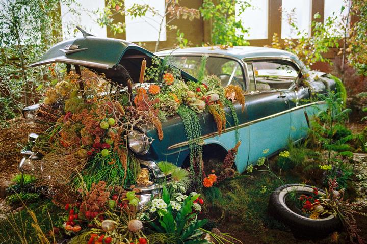 A vintage car is overgrown with various plants and flowers, with its hood open and a tire lying on the ground next to it.