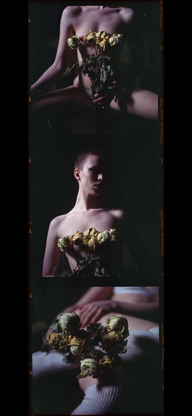A triptych shows a woman holding dried flowers, with one panel focusing on her face and another on her hands and legs.