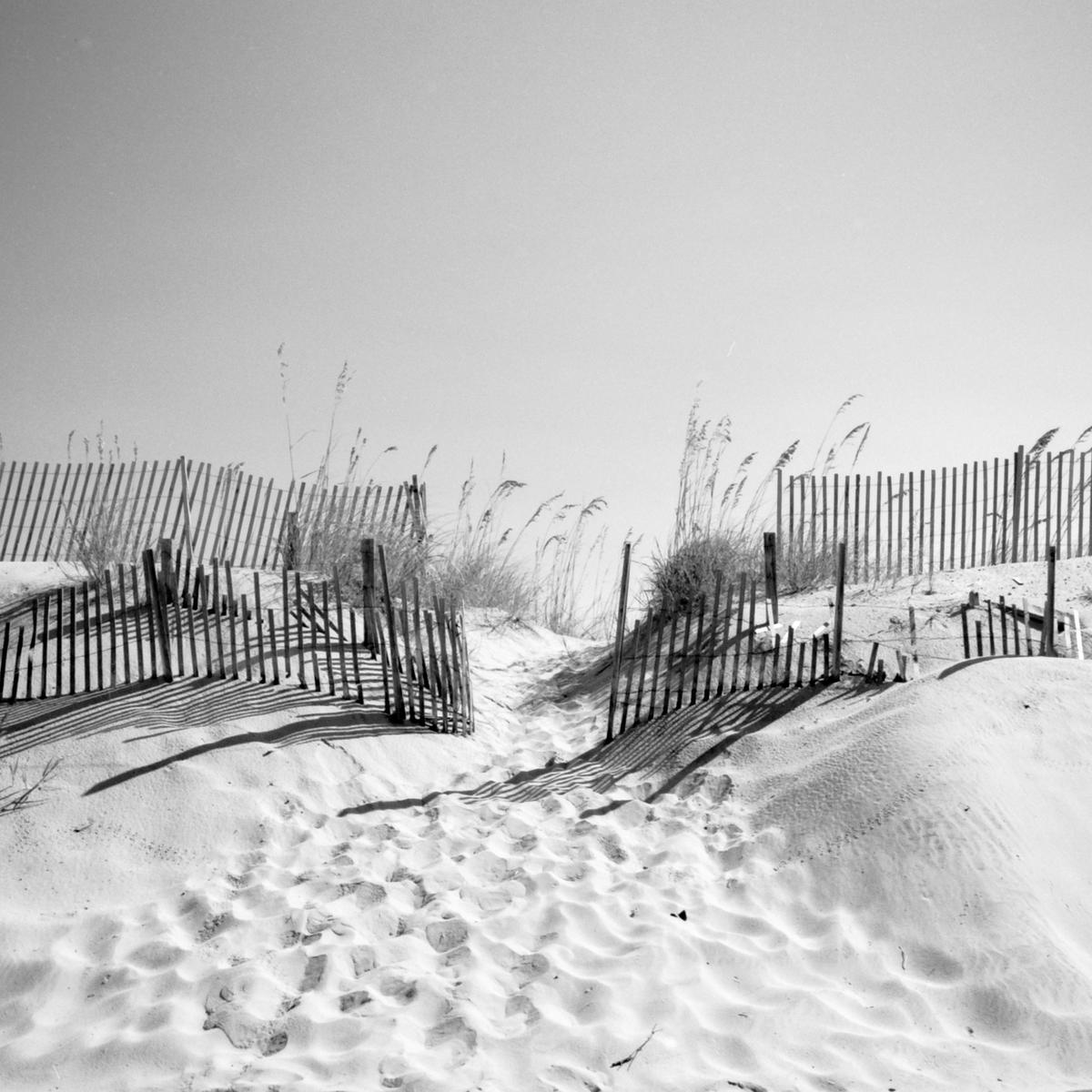 A sandy path leads between two fences and dunes covered in tall grass toward a bright sky.