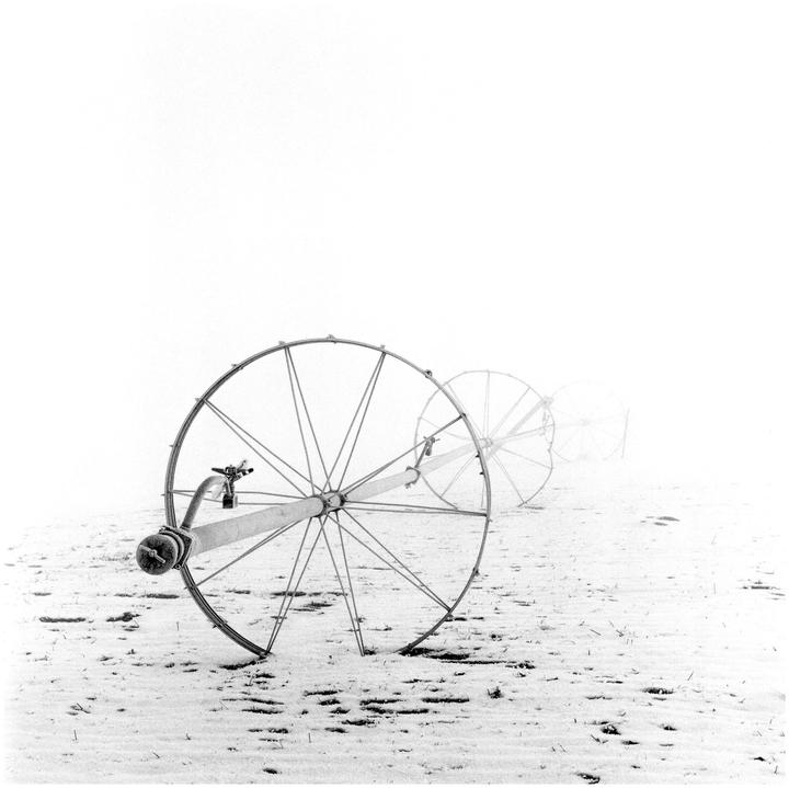 Three irrigation wheels stand in a snowy field on a foggy day.