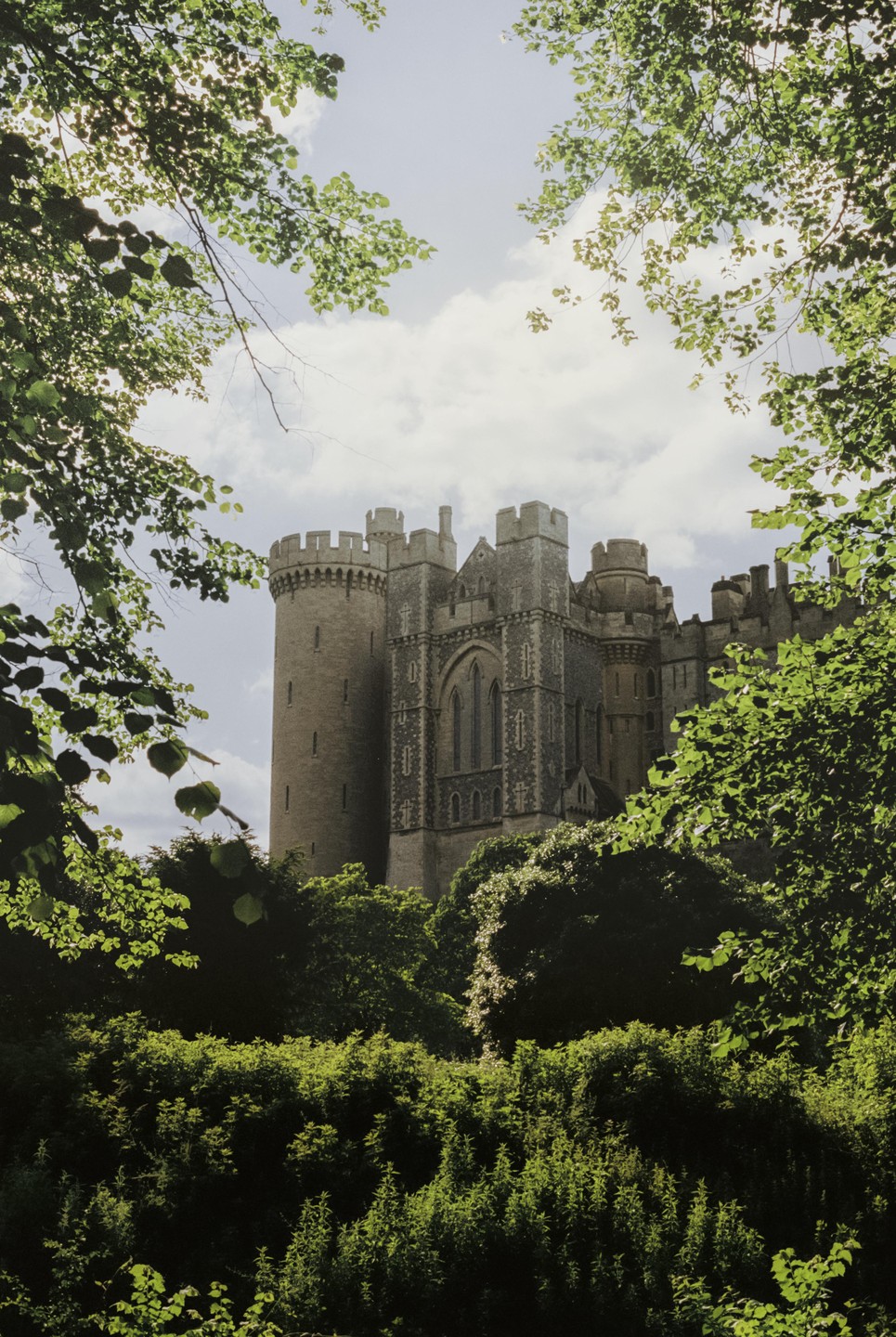 Arundel Castle is visible through a frame of green foliage and branches.