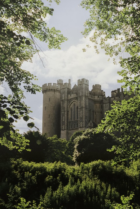 Arundel Castle is visible through a frame of green foliage and branches.