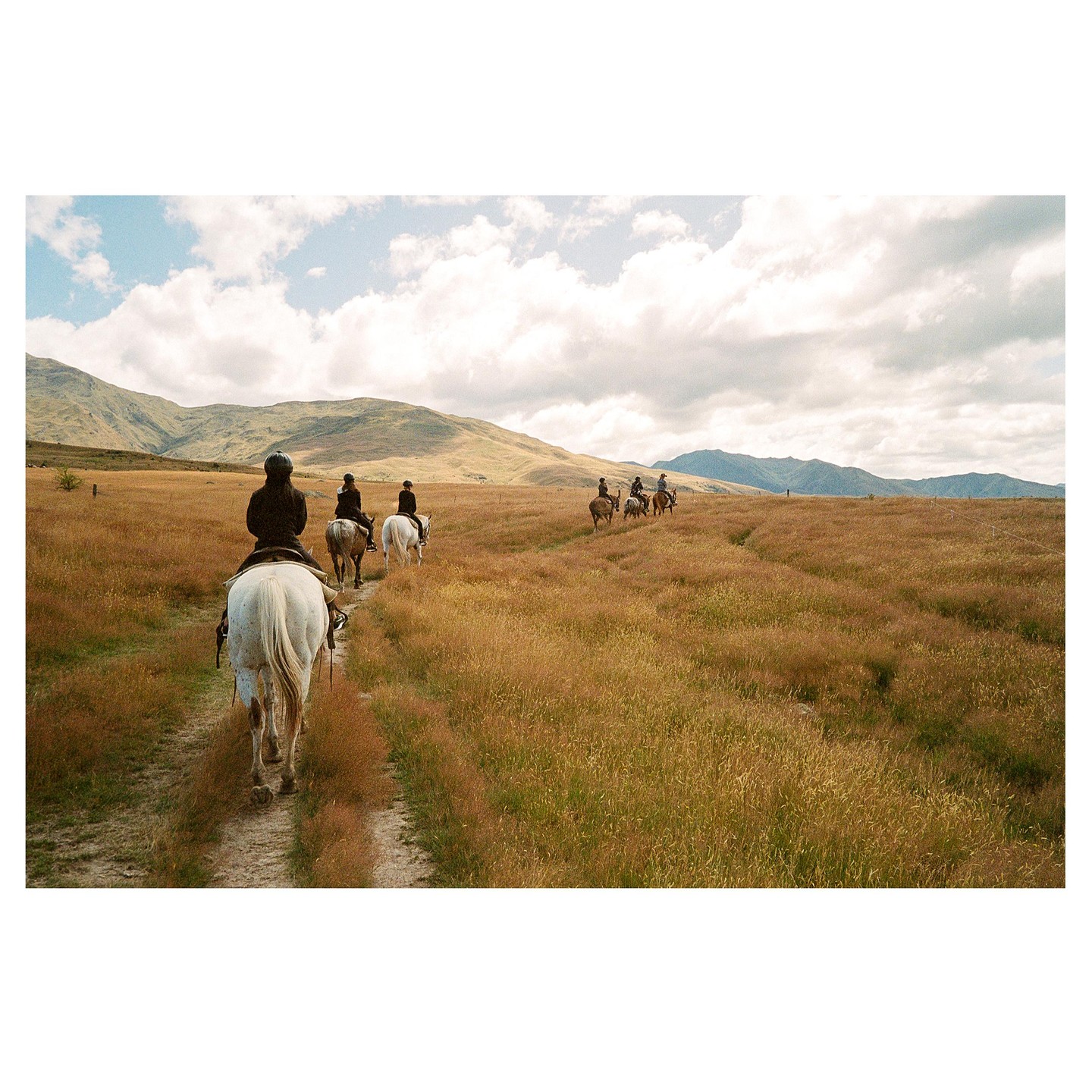 A group of people ride horses through a field of tall grass with mountains in the background.
